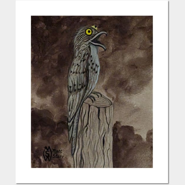 The potoo hunting at night Wall Art by Matt Starr Fine Art